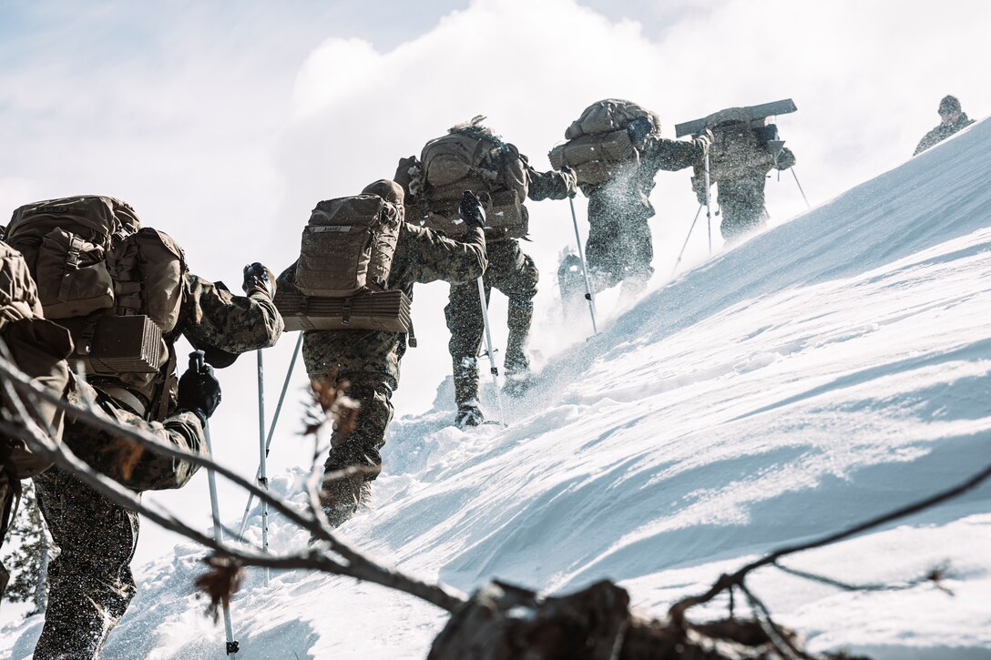 U.S. Marines and Sailors with Combat Logistics Battalion 6, Combat Logistics Regiment 2, 2nd Marine Logistics Group, and 1st Battalion, 6th Marine Regiment, 2d Marine Division, hike as part of a tactical exercise during Mountain Training Exercise 2-25 at Marine Corps Mountain Warfare Training Center Bridgeport, California, March 3, 2025. MTX 2-25 is designed to prepare units to survive, strengthen expeditionary warfare tactics, and build confidence in their abilities to operate in a cold weather, high-altitude, mountainous environment. (U.S. Marine Corps photo by Sgt. Mary Torres)