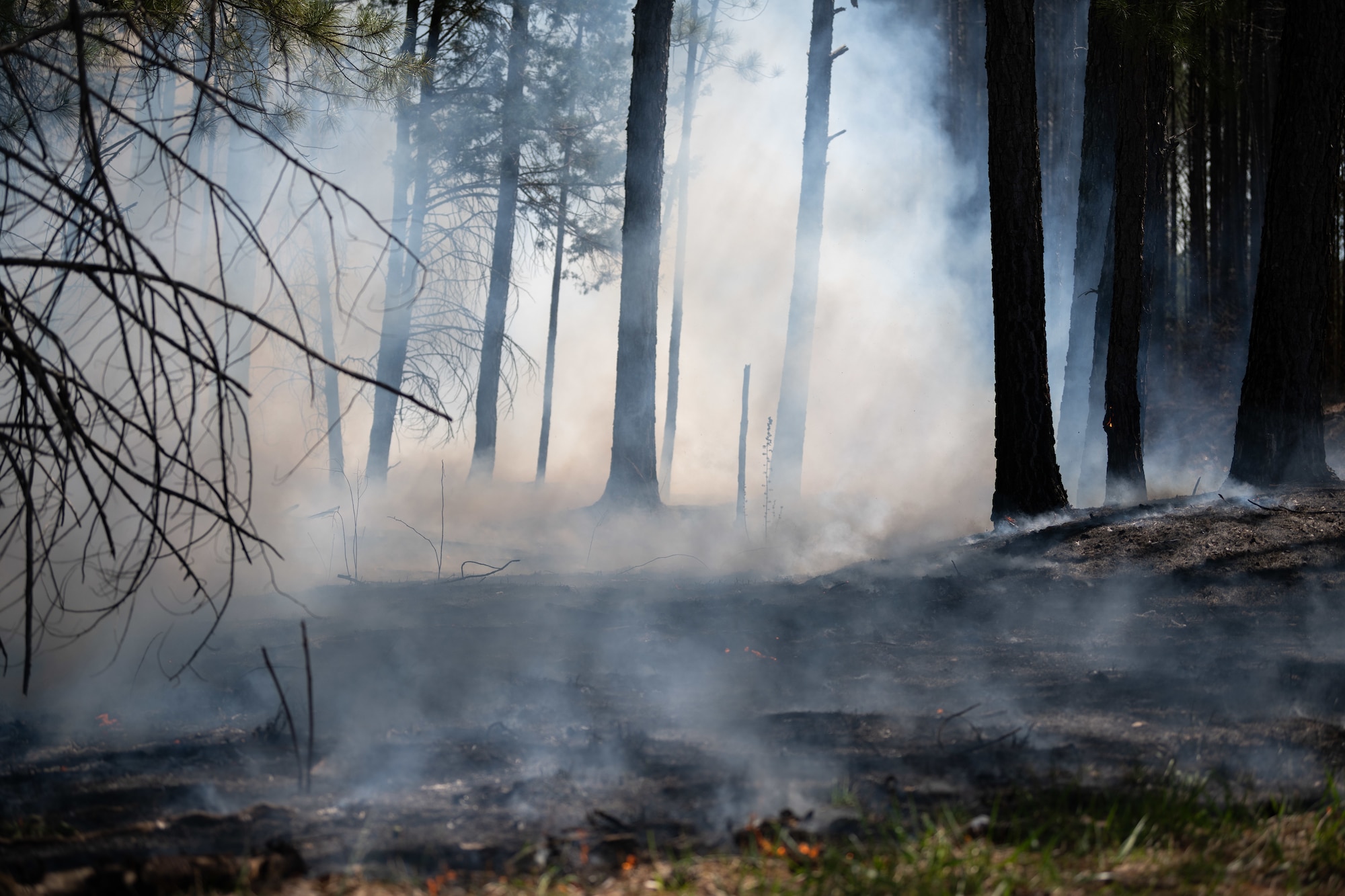 Firefighters from Arnold AFB and the USAF Wildland Fire Branches of Shaw AFB and Beale AFB, join forces to execute a prescribed burn on acreage surrounding Arnold AFB, Tenn., March 26, 2025. The prescribed burn prevents overgrowth of foliage on the forest floor and offers valuable training to the participating personnel. (U.S. Air Force photo by Keith Thornburgh)