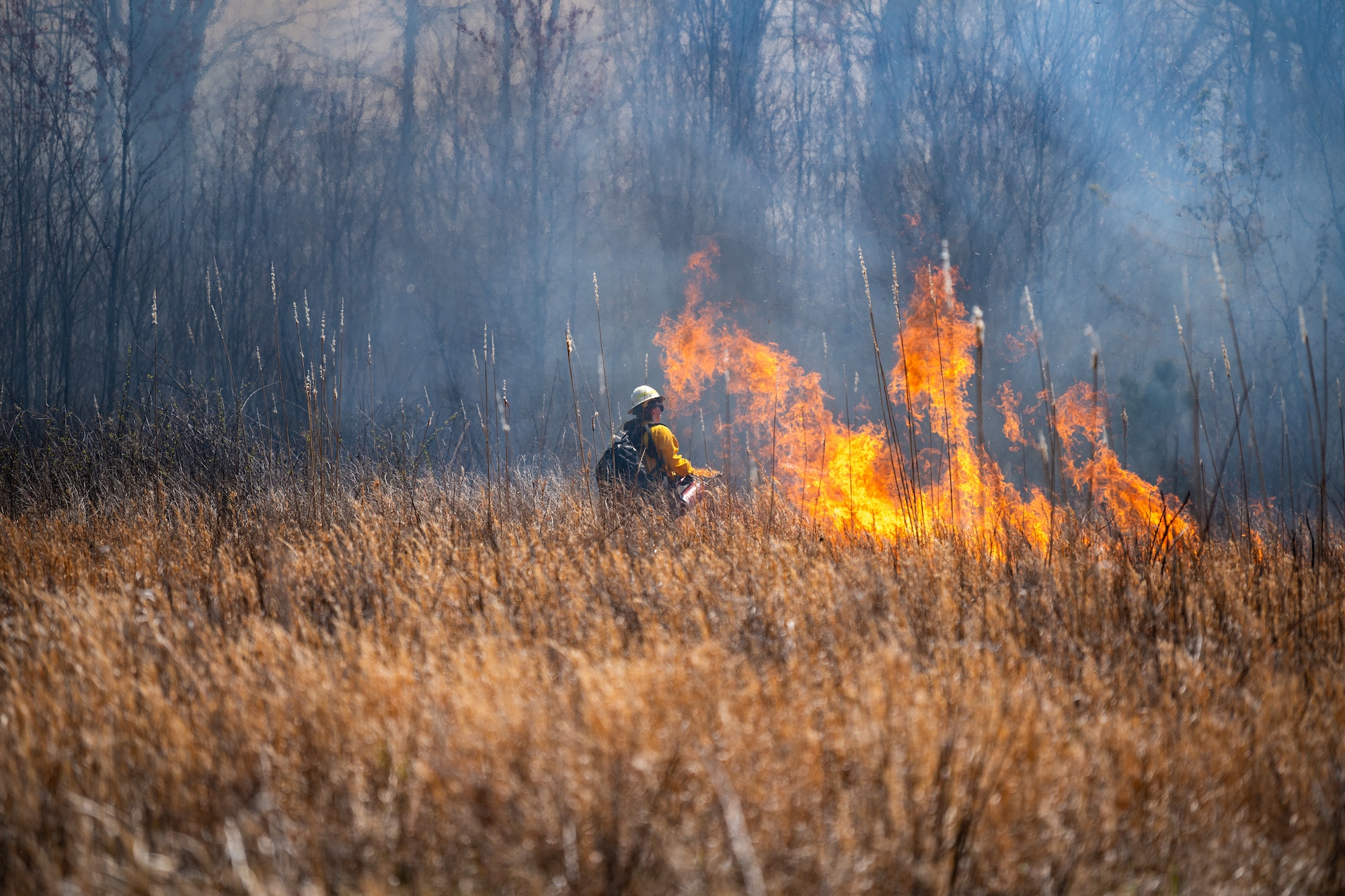 Mollie Handley with the Shaw AFB, USAF Wildland Fire Branch, ignites foliage to execute a prescribed burn on acreage surrounding Arnold AFB, Tenn., March 26, 2025. The prescribed burn prevents overgrowth of foliage on the forest floor and offers valuable training to the participating personnel. (U.S. Air Force photo by Keith Thornburgh)