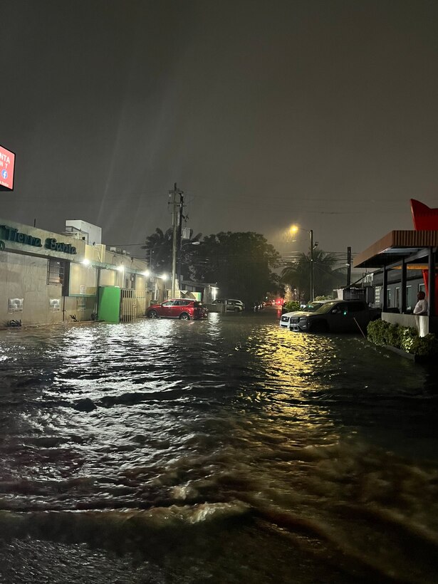 FDR Ave Flooding 3