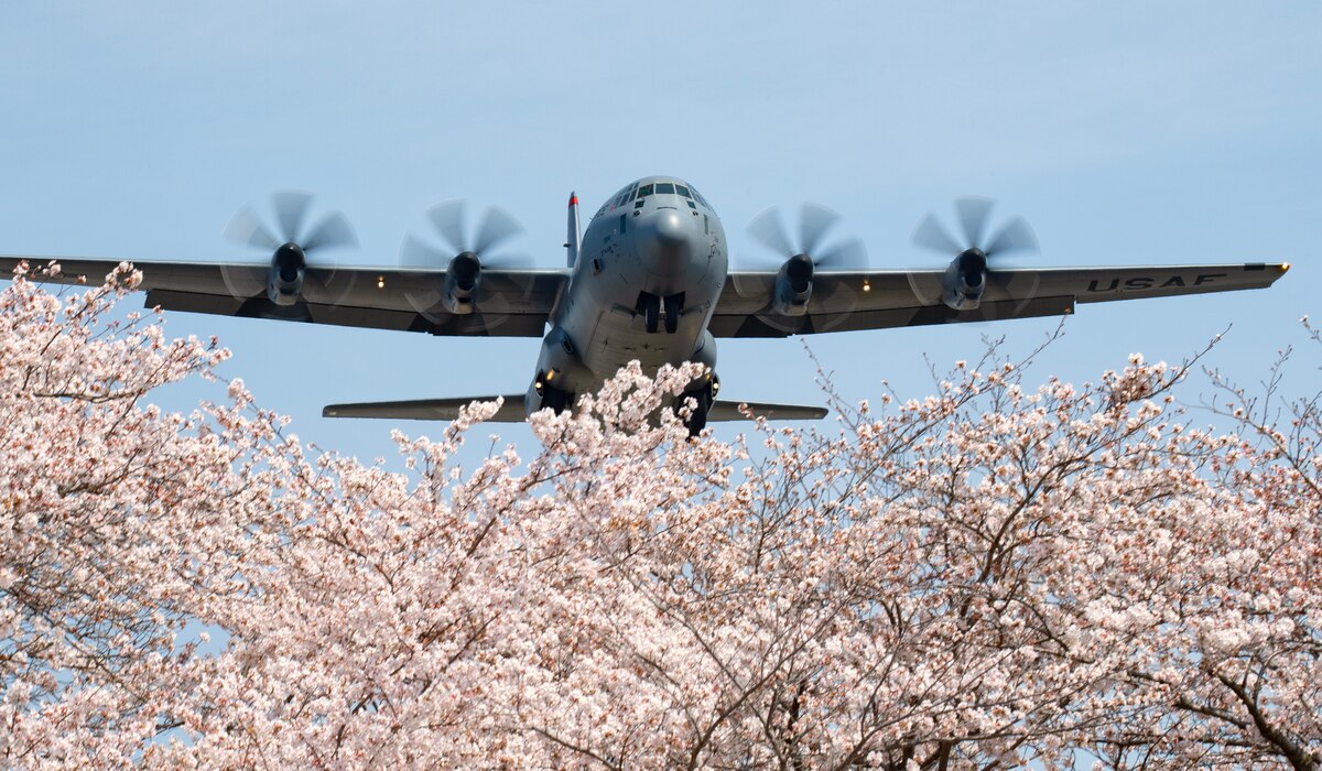 C-130 flying over trees