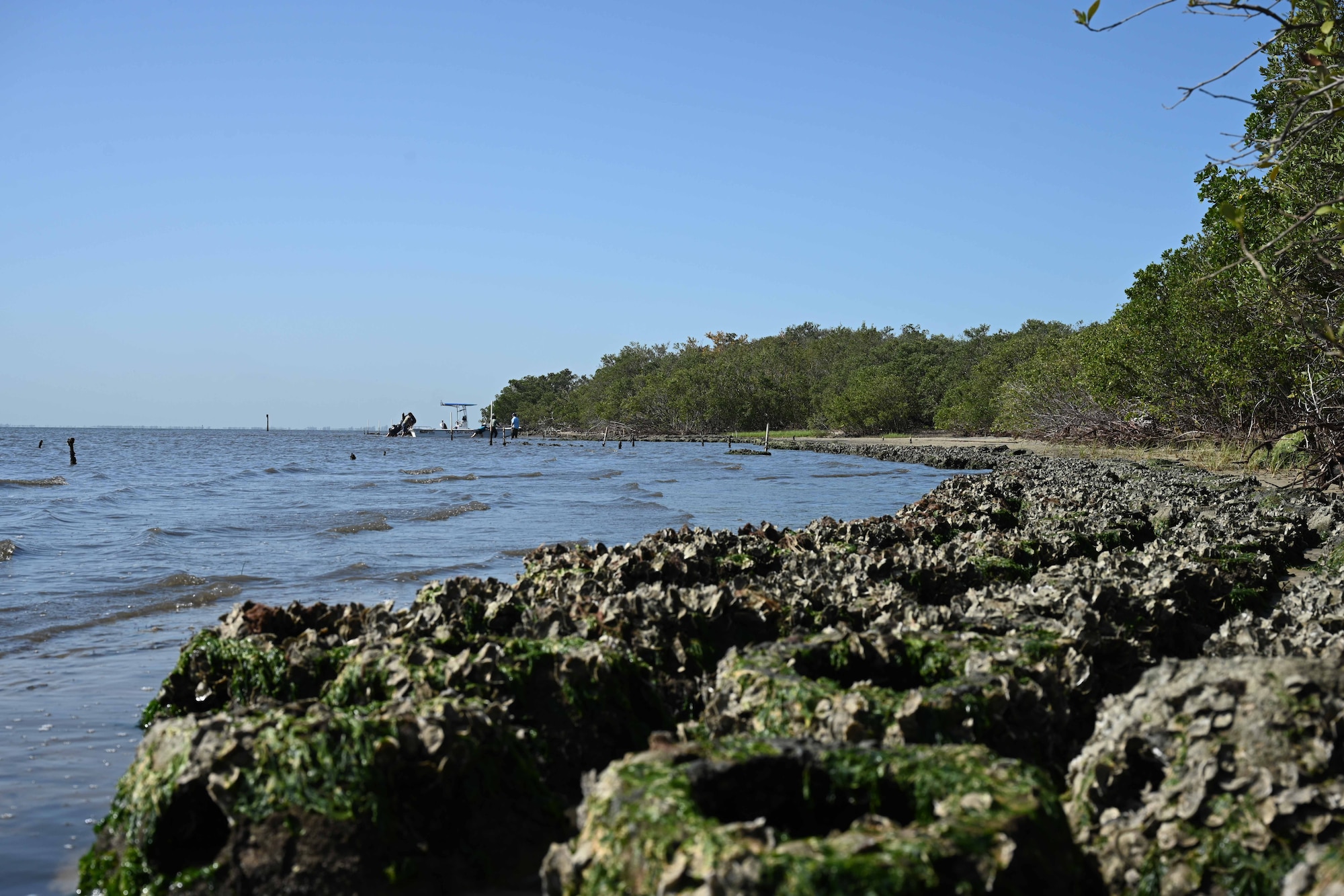 Oyster reef balls line the shores of MacDill Air Force Base, Florida, April 10, 2025.