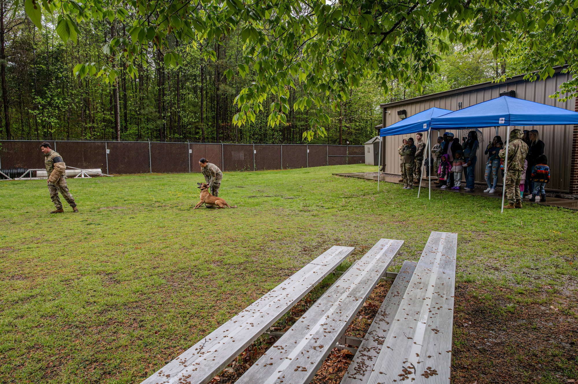 Soldiers showcase a working dog demonstration. (U.S. Air Force photo by Senior Airman Olivia Bithell)