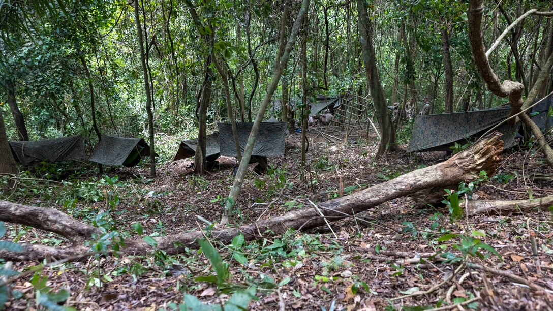 Panamanians teach U.S. Marines Jungle Survival