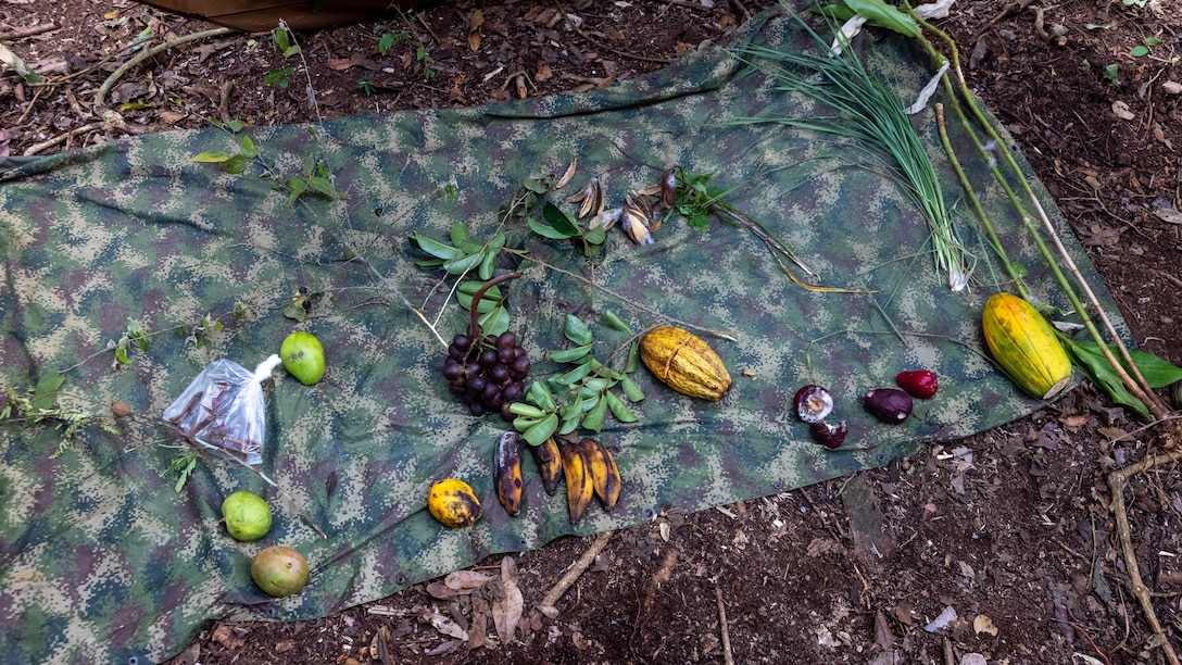 Panamanians teach U.S. Marines Jungle Survival