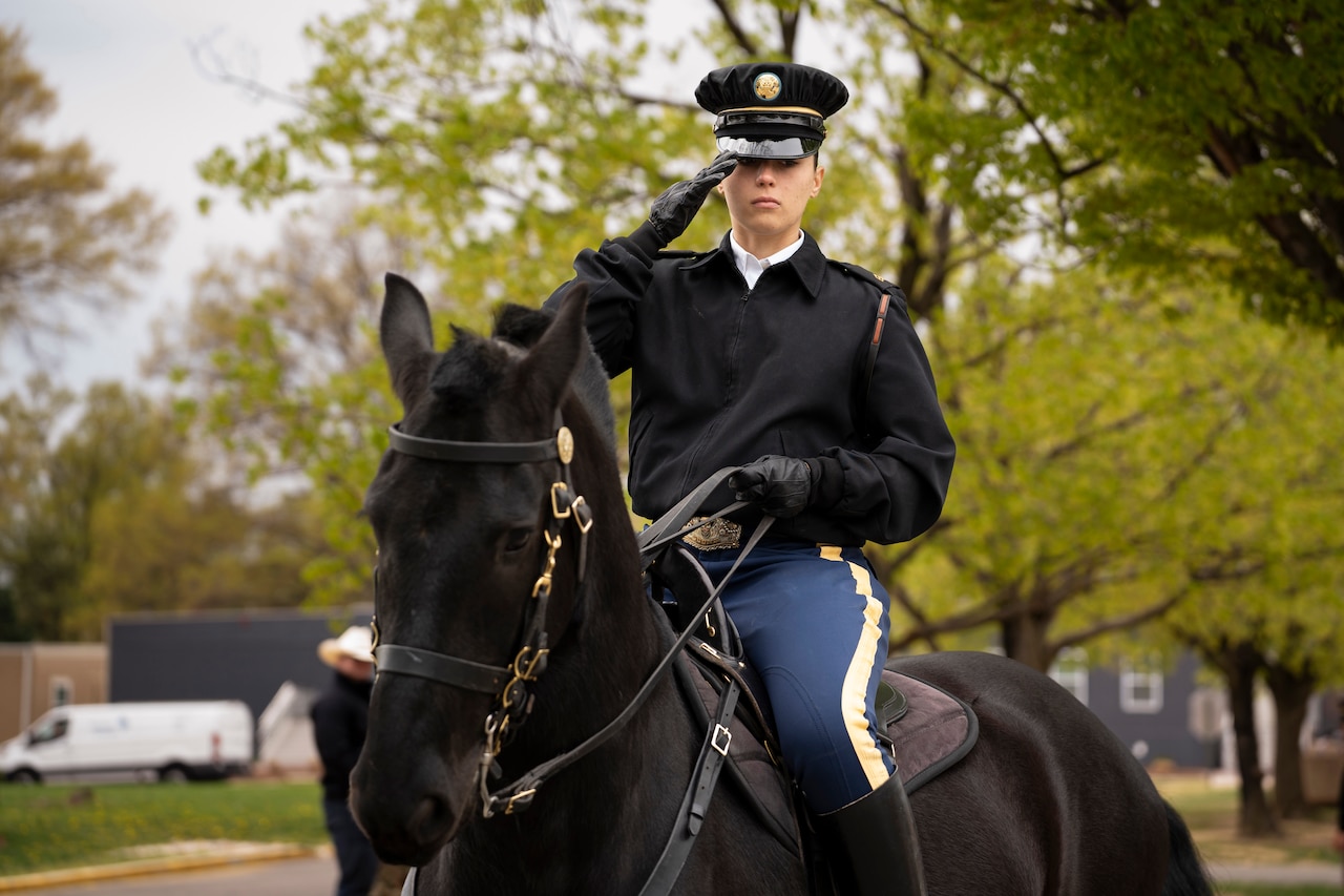 A soldier in military uniform salutes while sitting on a black horse.
