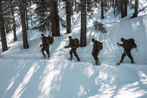 U.S. Marines and Sailors with Combat Logistics Battalion 6, Combat Logistics Regiment 2, 2nd Marine Logistics Group, and 1st Battalion, 6th Marine Regiment, 2d Marine Division, hike as part of a tactical exercise during Mountain Training Exercise 2-25 at Marine Corps Mountain Warfare Training Center Bridgeport, California, March 3, 2025. MTX 2-25 is designed to prepare units to survive, strengthen expeditionary warfare tactics, and build confidence in their abilities to operate in a cold weather, high-altitude, mountainous environment. (U.S. Marine Corps photo by Sgt. Mary Torres)