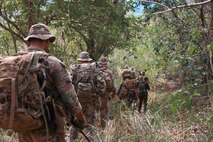 Philippine Army Soldiers with the First Squat Regiment and U.S. Army Soldiers assigned to 1st Battalion, 21st Infantry Regiment, 2nd Light Brigade Combat Team, 25th Infantry Division, conducted a jungle tracking course during Salaknib 2025, Fort Magsaysay, Philippines, April 9, 2025.