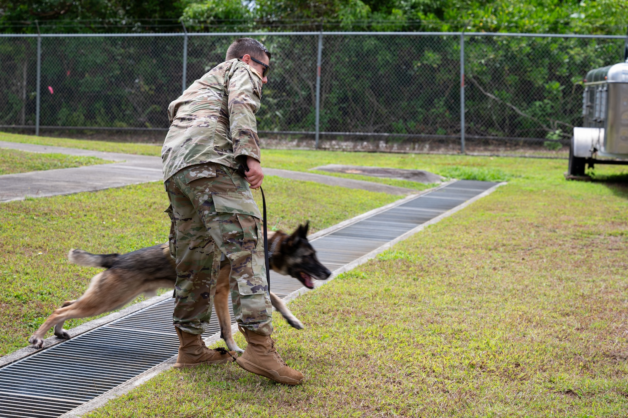 U.S. Air Force Senior Airman Alexandru Tertis, 36th Security Forces Squadron military working dog handler, releases Tyson, 36 SFS military working dog, to track down a simulated suspect at Andersen Air Force Base, Guam, April 15, 2025. Military working dogs play a vital role in key missions to include vehicle sweeps, drug and explosive detections, and tracking down suspects. (U.S. Air Force photo by Staff Sgt. Jasmine M. Barnes)