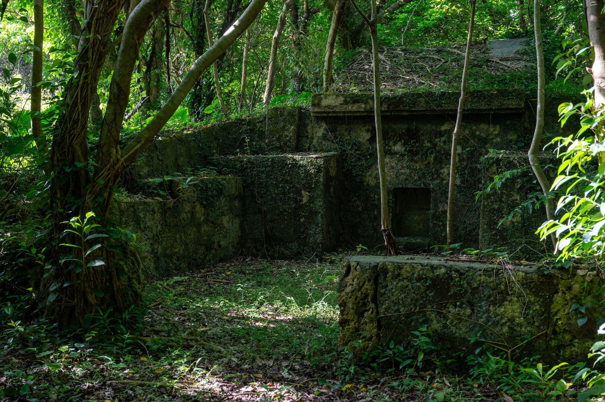 A tomb covered in vegetation
