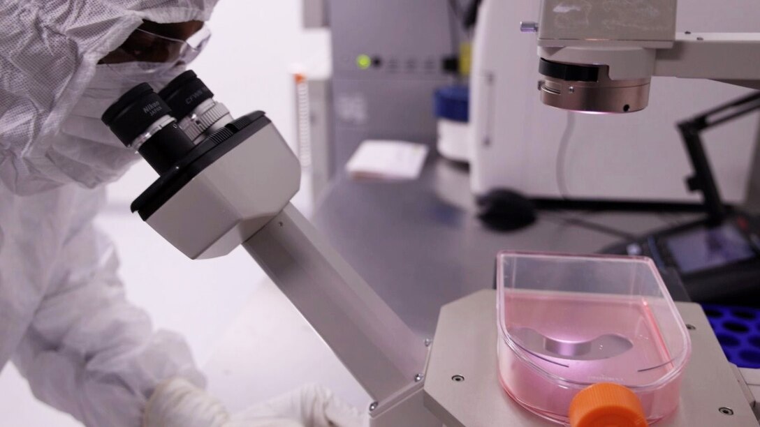 An operator checks cells for confluency in the PBF’s viral GMP production suite.