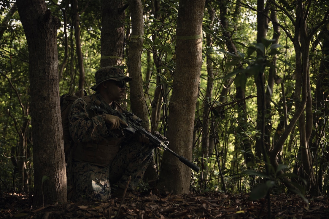 U.S. Marine Corps Lance Cpl. Brian Goetz, an infantry Marine with Charlie Company, Battalion Landing Team 1/7, 31st Marine Expeditionary Unit, posts security with an M4 carbine during a jungle field exercise on Camp Hansen, Okinawa, Japan, April 15, 2025.