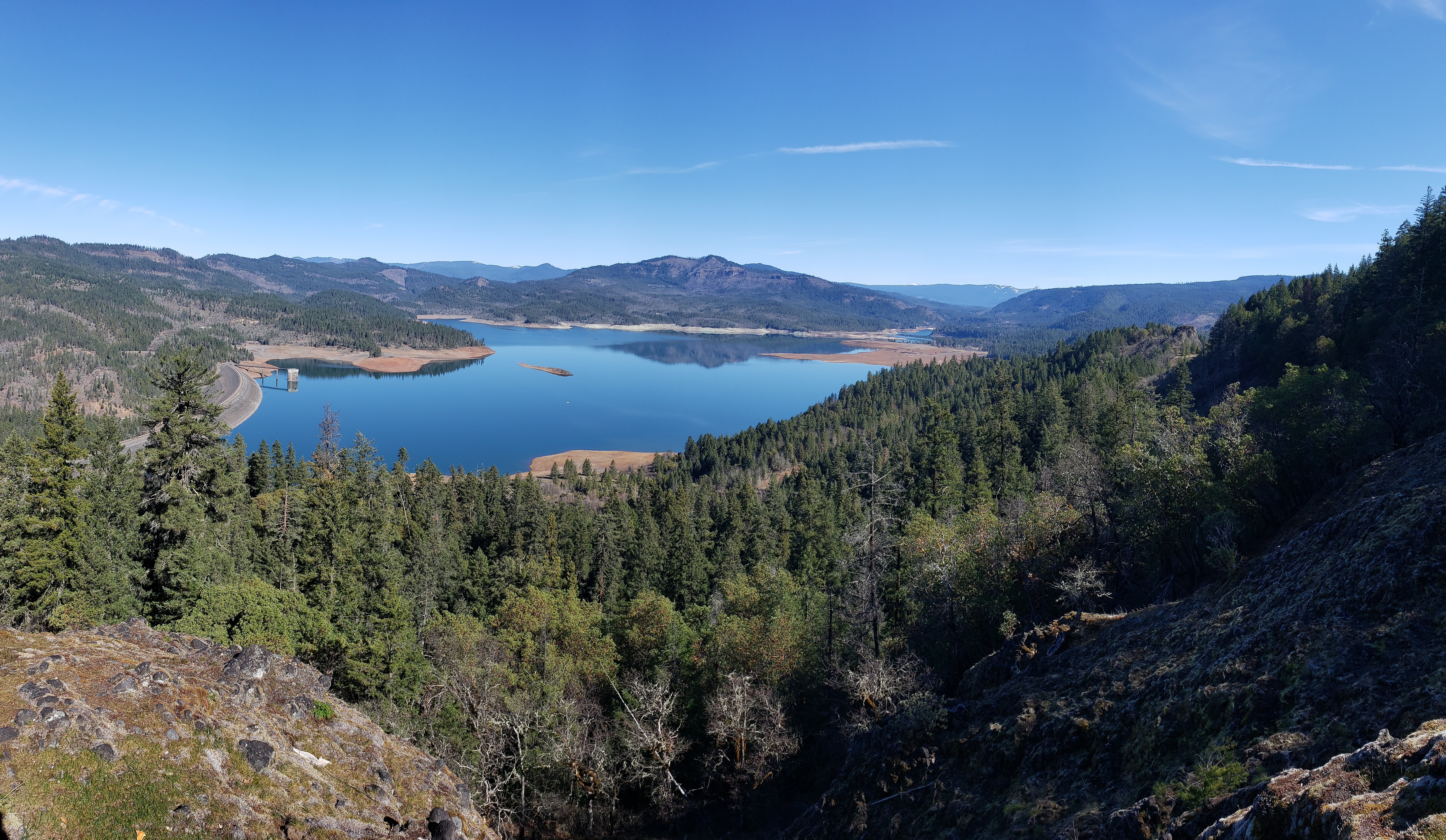 An overhead view of trees and a body of a water.