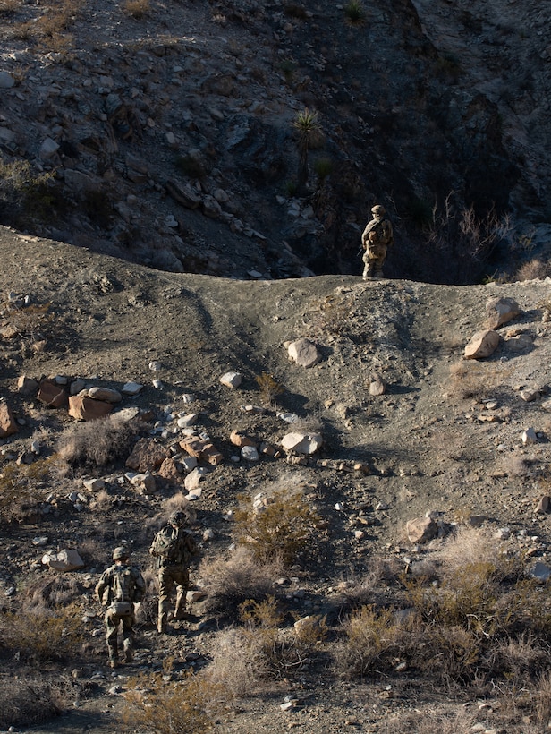 Soldiers in tactical gear walk on in a wooded area.