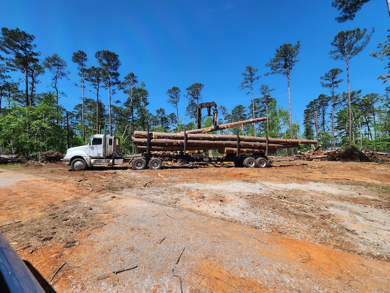 photo of a truck moving timber