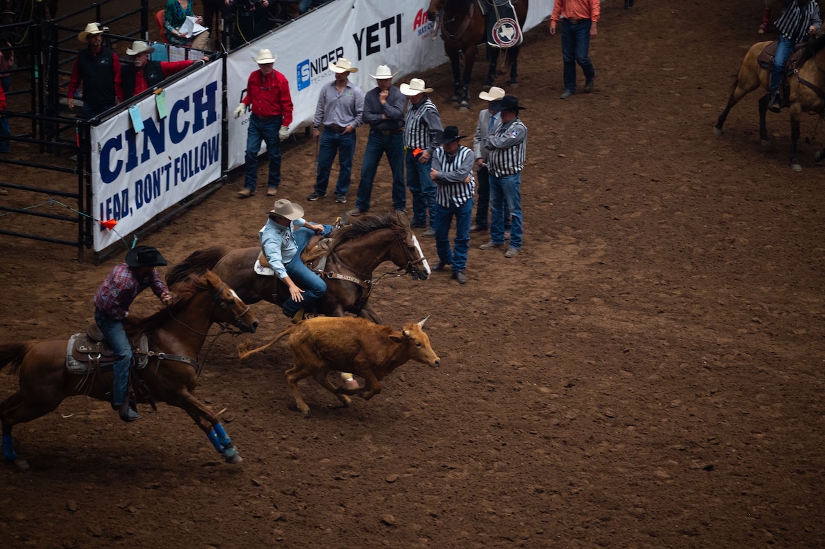 A competitor reaches for a steer during the San Angelo Stock Show & Rodeo at the Foster Communications Coliseum, San Angelo, Texas, April 16, 2025. Steer wrestling is a rodeo event where a mounted rider jumps from a horse, grabs a steer by the horns, and wrestles it to the ground as quickly as possible. (U.S. Air Force Photo by Airman 1st Class Brian Lummus)