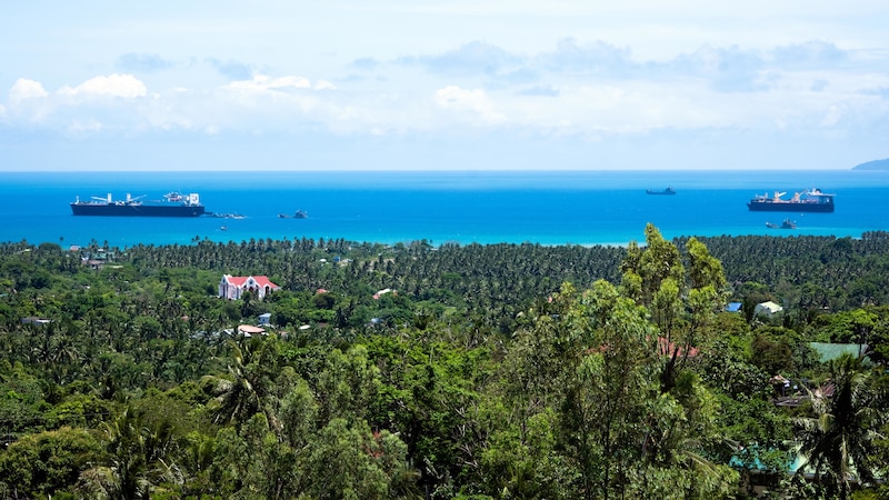 A forest, beach and blue ocean is seen in and expansive view, with ships sailing in the distance during the day.
