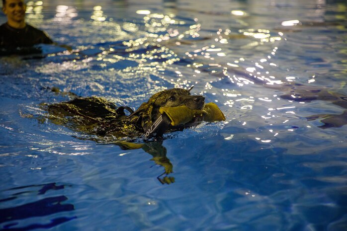 Photo by Lance Cpl. David Getz