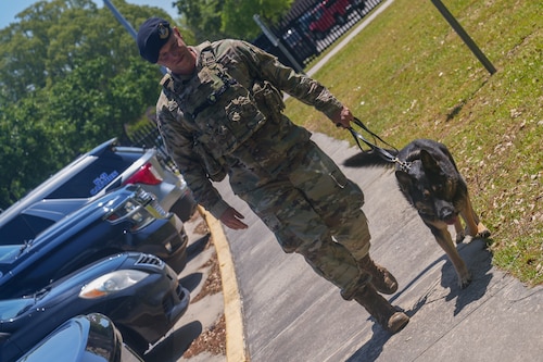 Staff Sgt. Brandon Mitchell, 78th Security Forces Squadron kennel master, walks Faro, a 78th SFS Military Working Dog, during a random vehicle sweep, outside the Robins Air Force Base, Georgia.