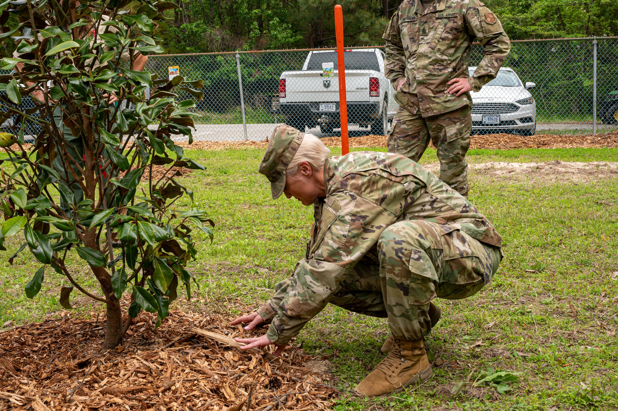 Army Col. Laura Hutchinson pats down the mulch of a freshly planted Red Mulberry tree at Joint Base Langley-Eustis
