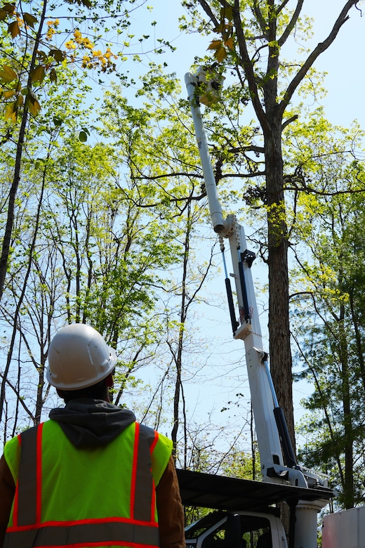 Contractors working under the direction of the U.S. Army Corps of Engineers clear storm debris from Hurricane Helene at the Boy Scouts of America's Camp Grimes in McDowell County, North Carolina, April 18, 2025. The removal effort is part of a FEMA-assigned mission to assist with private property debris removal. The work is helping prepare the 1,100-acre Boy Scout camp to reopen for summer programs.