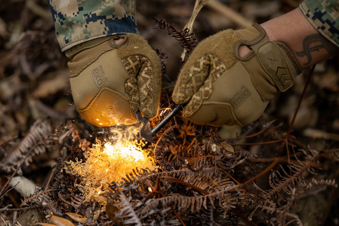 Jungle Survival Skills