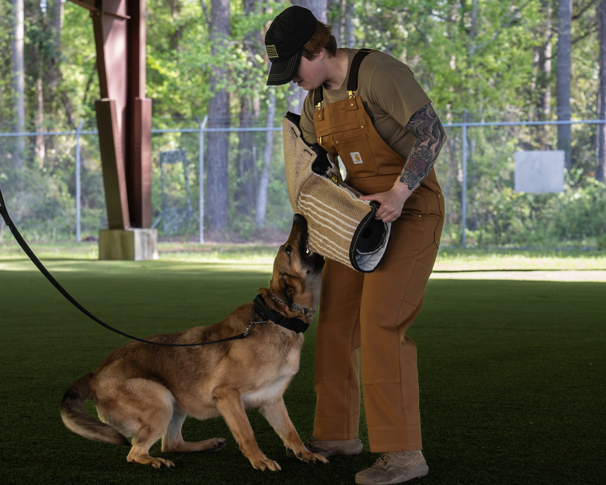 U.S. Air Force Senior Airman Allison Runyan, 4th Security Forces Squadron military working dog handler, and Reni, 4th SFS MWD, train together at Seymour Johnson Air Force Base, North Carolina, Apr. 14, 2025. MWDs are trained in detection and patrol to ensure they are mission ready at all times. (U.S. Air Force photo by Airman 1st Class Rebecca Tierney)
