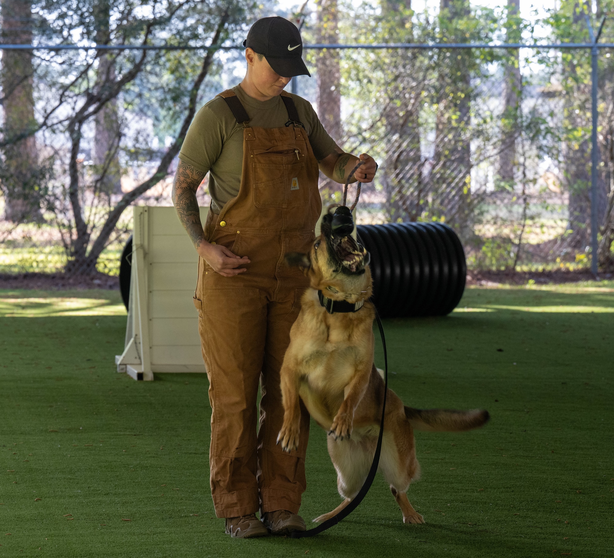 U.S. Air Force Staff Sgt. Ashley Freitag, 4th Security Forces Squadron military working dog handler, and Reni, 4th SFS MWD, train together at Seymour Johnson Air Force Base, North Carolina, Apr. 14, 2025. MWDs are trained in detection and patrol to ensure they are mission ready at all times. (U.S. Air Force photo by Airman 1st Class Rebecca Tierney)