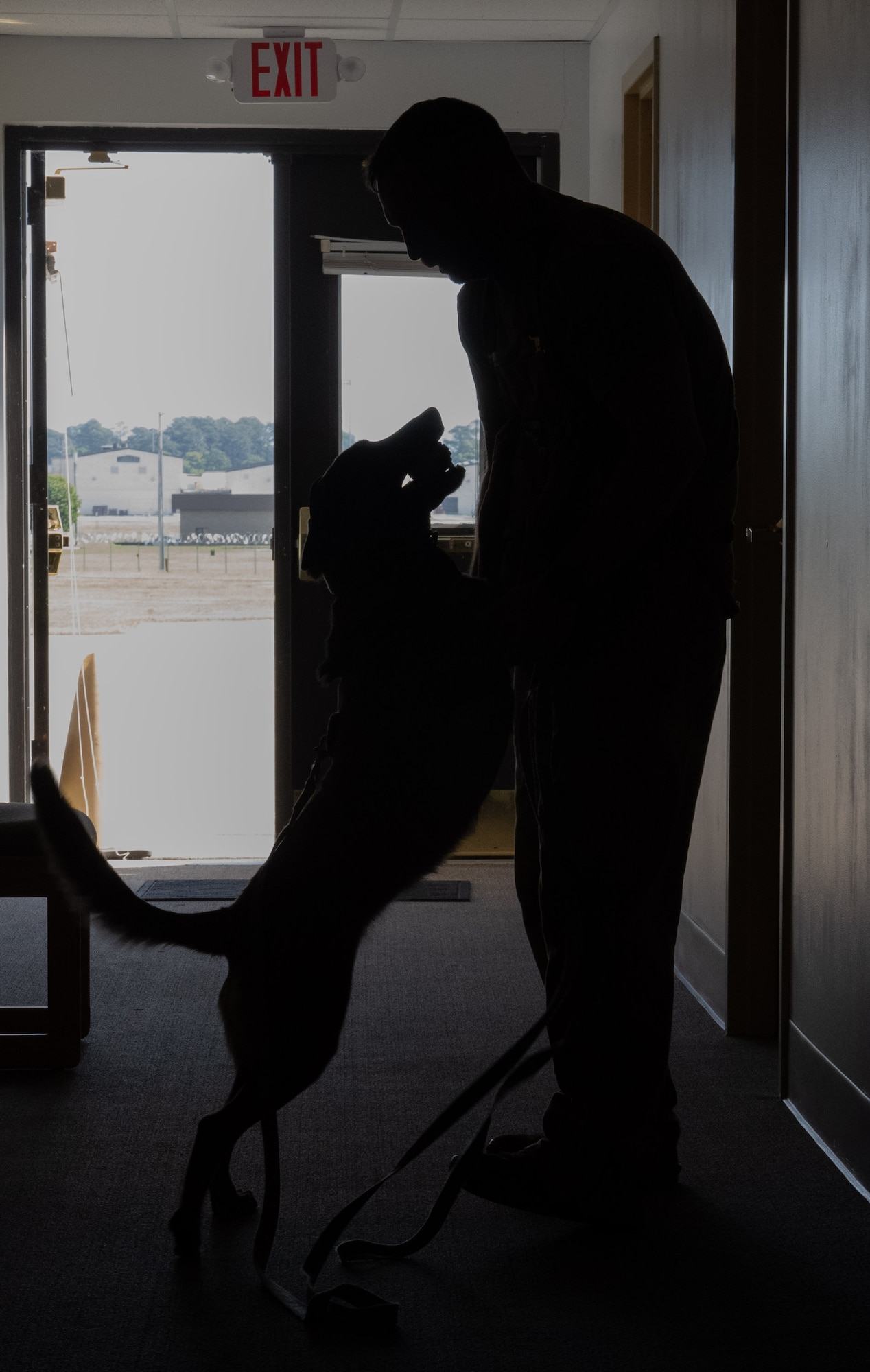 U.S. Air Force Tech. Sgt. Charles Davis, 4th Security Forces Squadron military working dog non-commissioned officer in charge, and Iirene, 4th SFS MWD, train together at Seymour Johnson Air Force Base, North Carolina, Apr. 14, 2025. MWDs are trained in detection and patrol to ensure they are mission ready at all times. (U.S. Air Force photo by Airman 1st Class Rebecca Tierney)