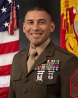 Sergeant Major Nickie O. Bautista