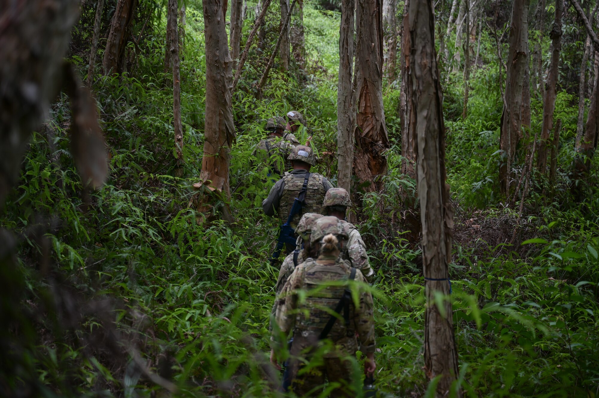A line of Airmen trekking in the forest.