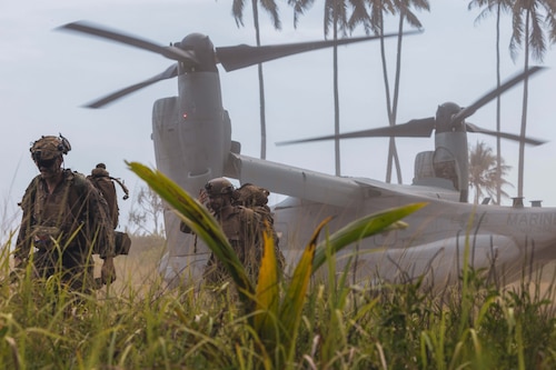 Two Marines walk through tall grass away from an aircraft with tall trees in the background.