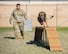 U.S. Air Force Staff Sgt. Sandra Ohta-Jones Harris, 5th Security Forces Squadron military working dog handler, watches Hexo, 5SFS military working dog, navigate an obstacle course during obedience training at Minot Air Force Base, North Dakota, April 21, 2025. Ohta-Jones Harris conducted obedience training with Bexo to build trust, coordination and responsiveness. (U.S. Air Force photo by Senior Airman Kyle Wilson)