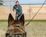 Hexo, 5th Security Forces Squadron military working dog, looks at U.S. Air Force Staff Sgt. Wade Alfson, 5SFS military working dog trainer, during bite training at Minot Air Force Base, North Dakota, April 21, 2025. Bite training teaches military working dogs how to properly apprehend and subdue threats. (U.S. Air Force photo by Senior Airman Kyle Wilson)