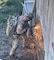 For 250 years, sappers have served as elite U.S. Army combat engineers, supporting frontline infantry in every war throughout American history. The Sapper Leader Course tests the limits of human endurance, and only the best make it through and wear the tab.

This year we celebrate 250 years of the U.S. Army Corps of Engineers and 40 years of the Sapper Leader Course. U.S. Army Engineers have evolved to encompass the twin pillars of modern engineer operations, providing engineering expertise to the Army, and responding to the nation’s toughest engineering and environmental challenges. Today, under the Chief of Engineers, more than 84,000 Army Engineer Soldiers serve in active duty, reserve and National Guard troop units.