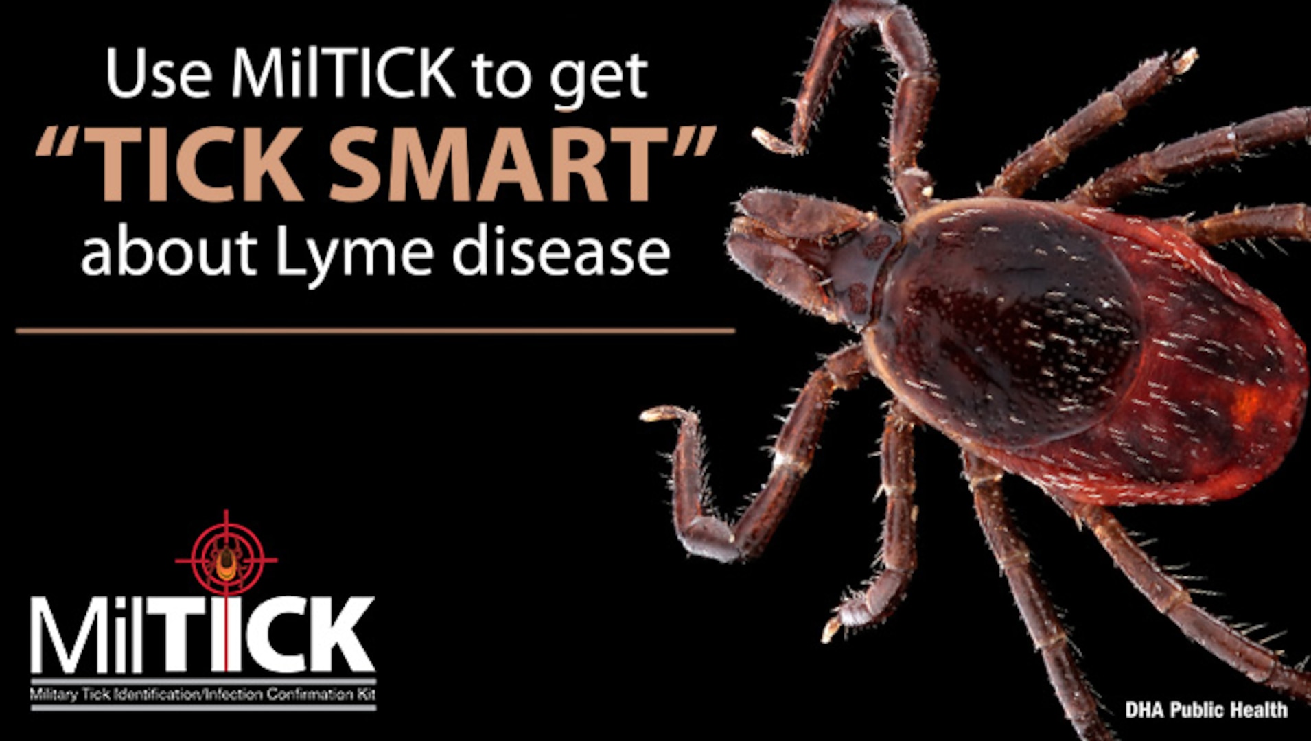 Image of tick. Use MilTICK to get "TICK SMART" about Lyme disease