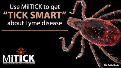 Image of tick. Use MilTICK to get "TICK SMART" about Lyme disease
