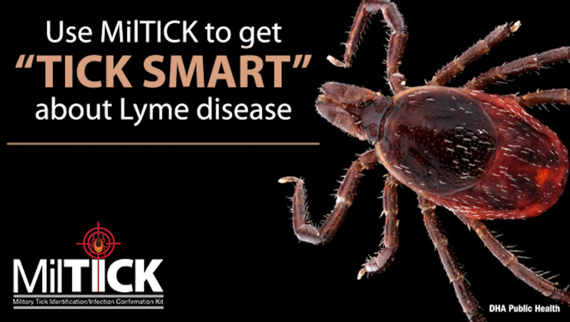 Image of tick. Use MilTICK to get "TICK SMART" about Lyme disease