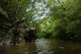 U.S. Marines patrol during Expeditionary Advanced Base Field Training Exercise at the Central Training Area, Okinawa, Japan, July 28, 2025.
