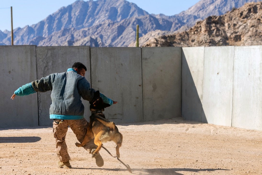 U.S. service members continue to support efforts carrying out President Donald J. Trump's executive orders on protecting the territorial integrity of the United States.