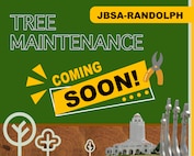 Tree maintenance