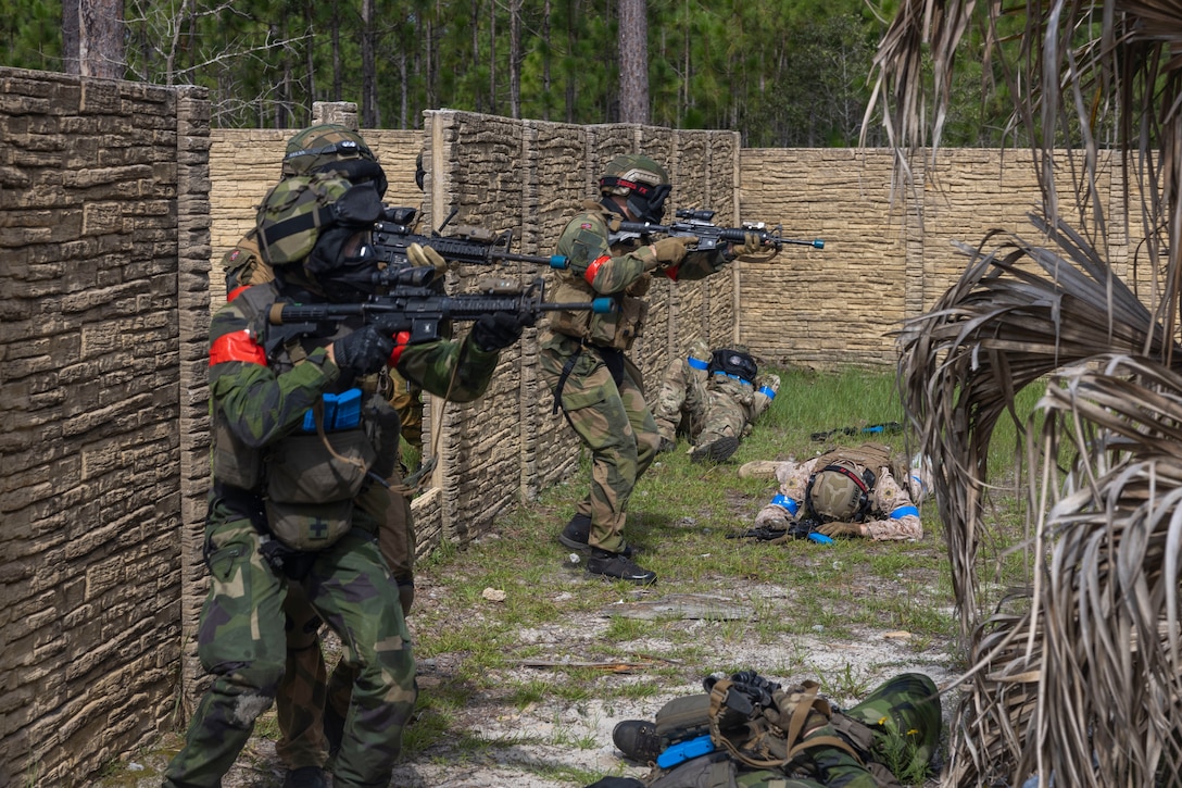 NATO allies engage opposing forces during a force-on-force urban operations simulation as part of exercise Burmese Chase 25, at Marine Corps Base Camp Lejeune, North Carolina, Aug. 3, 2025. Burmese Chase is an annual U.S. led, multi-lateral training exercise comprised of integrating ground and air fires, infantry tactics and naval gunfire alongside NATO allies to enhance combat readiness and interoperability. (U.S. Marine Corps photo by Cpl. Marc Imprevert)