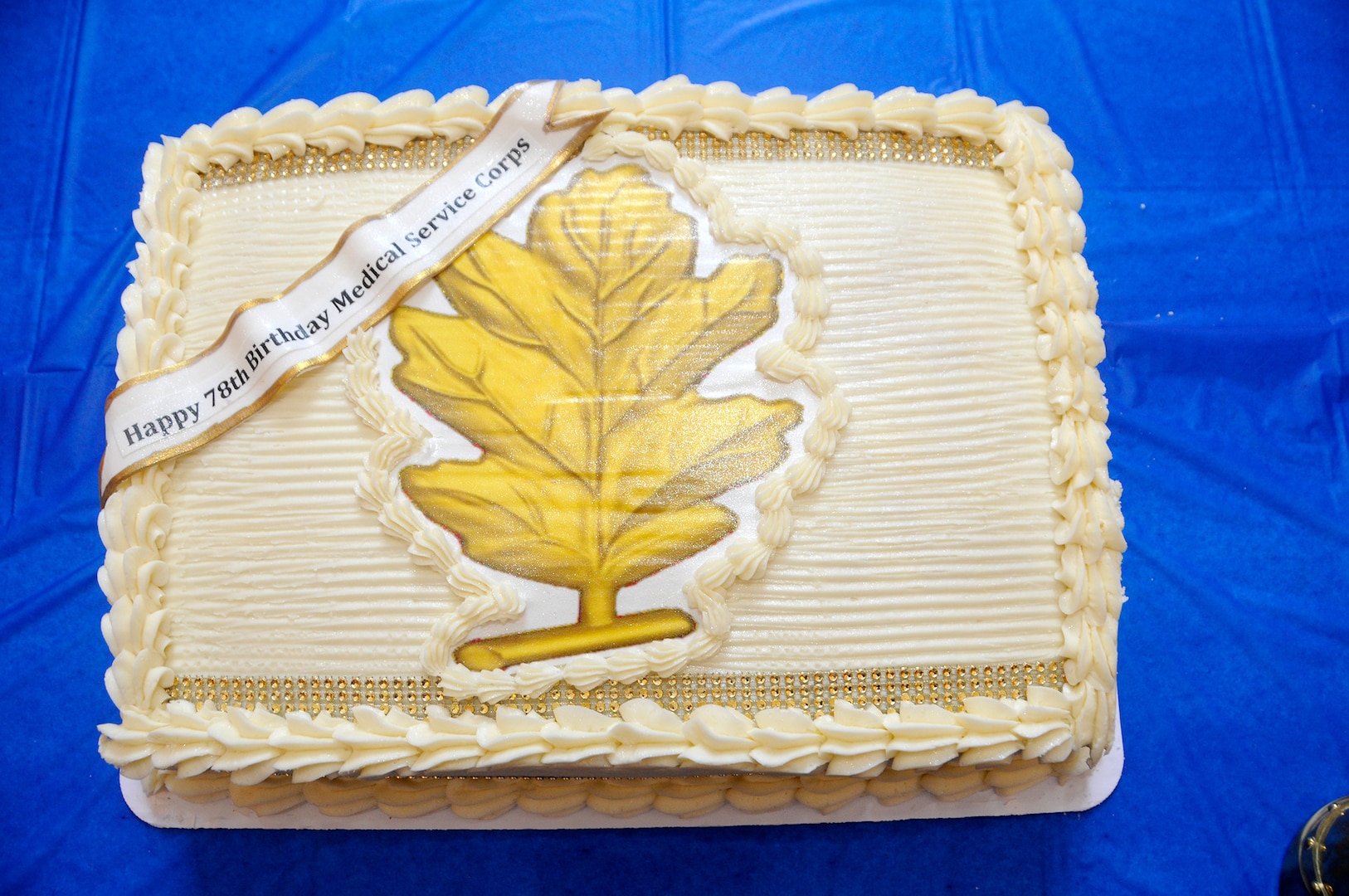 78th Birthday of the Navy Medical Service Corps