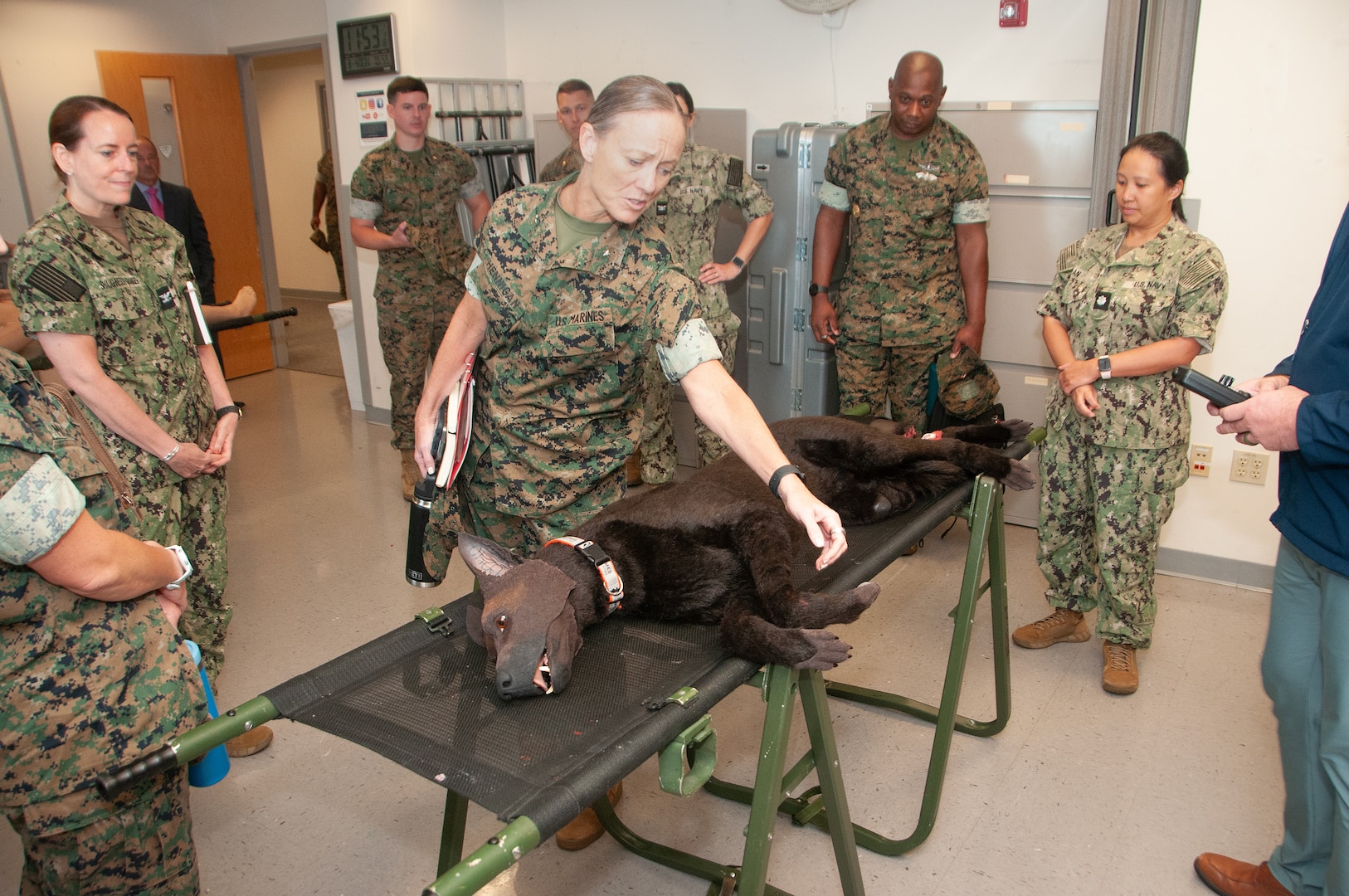 Brigadier General Maura Hennigan examines the realistic paws on “Deisel,” Naval Medical Center Portsmouth’s Simulation Center’s dog trainer.