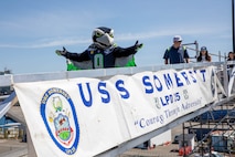 SEATTLE (July 30, 2025) – Seattle Seahawks mascot Biltz crosses the brow of the San Antonio-class amphibious transport dock ship USS Somerset (LPD 25) during Seattle Fleet Week, June 30, 2025. Seattle Fleet Week is a time-honored celebration of the sea services and provides an opportunity for the citizens of Washington to meet Sailors, Marines and Coast Guardsmen, as well as witness firsthand the latest capabilities of today’s maritime services. (U.S. Navy Photo by Mass Communication Specialist 2nd Class John A. Miller)