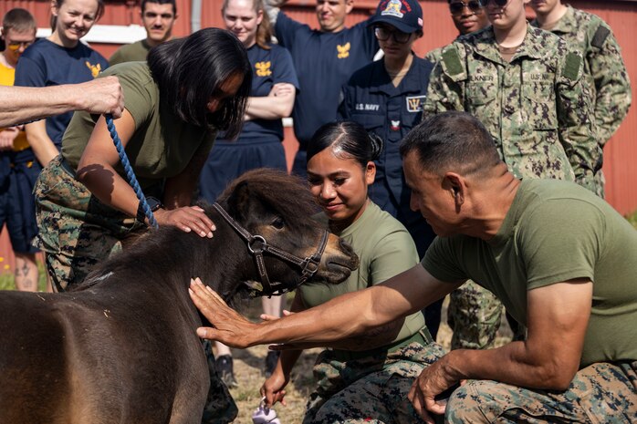 U.S. Marines and Sailors pet a pony at Little Bit Therapeutic Riding Center during a community relations event in support of Seattle Fleet Week in Seattle, Aug. 1, 2025. Community relations events allow service members to connect with local residents, build relationships and give back to the communities that hosts them. Seattle Fleet Week is a time-honored celebration of the sea services and provides an opportunity for the citizens of Washington to meet Sailors, Marines and Coast Guardsmen, as well as witness firsthand the latest capabilities of today’s maritime services. (U.S. Marine Corps photo by Staff Sgt. Jesula Jeanlouis)