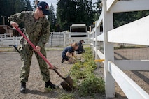 Sailors work on clearing weeds from a horse pen at the Little Bit Therapeutic Riding Center during Seattle Fleet Week 2025. Seattle Fleet Week is a time-honored celebration of the sea services and provides an opportunity for the citizens of Washington to meet Sailors, Marines and Coast Guardsmen, as well as witness firsthand the latest capabilities. of today’s maritime services. (U.S. Navy photo by Mass Communication Specialist Seaman Joey Sitter)