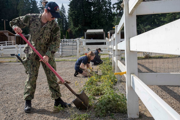 Sailors work on clearing weeds from a horse pen at the Little Bit Therapeutic Riding Center during Seattle Fleet Week 2025. Seattle Fleet Week is a time-honored celebration of the sea services and provides an opportunity for the citizens of Washington to meet Sailors, Marines and Coast Guardsmen, as well as witness firsthand the latest capabilities. of today’s maritime services. (U.S. Navy photo by Mass Communication Specialist Seaman Joey Sitter)