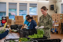 Ensign Kathe Neumeyer, right, and Machinery Repairman 3rd Class Izabella Blankenship, both assigned to amphibious transport dock ship USS Somerset (LPD 25), organize food during a food bank at Providence Regina House as part of during Seattle Fleet Week, Aug. 2, 2025. Seattle Fleet Week is a time-honored celebration of the sea services and provides an opportunity for the citizens of Washington to meet Sailors, Marines and Coast Guardsmen, as well as witness firsthand the latest capabilities of today’s maritime services. (U.S. Navy photo by Mass Communication Specialist 2nd Class Evan Diaz)