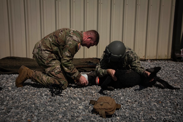 250731-N-KC192-1042 FORT RUCKER, Ala. (July 31, 2025) Hospital Corpsman 1st Class Axel Narvaez, assigned to Naval Medical Forces Atlantic, secures a simulated canine casualty during a point of injury simulation as part of the Joint Enroute Care Course (JECC) on Fort Rucker, Alabama, July 31, 2025. The purpose of JECC training is to operationalize clinical skills of servicemembers and introduce them to a standardized methodology for providing critical care while transporting a patient through the battle space during deployment as members of teams operating in austere environments. The course enhances joint interoperability by bringing together personnel from across the services to operationalize clinical skills and strengthen integrated medical response during deployment. (U.S. Navy photo by Mass Communication Specialist 2nd Class Levi Decker)